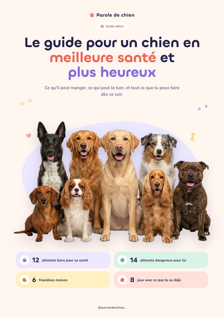 Couverture du guide Parole de chien